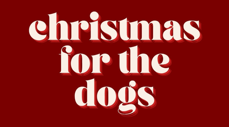 L3  CHRISTMAS FOR THE DOGS