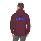 08 STATEMENT HOODIE DELULU
