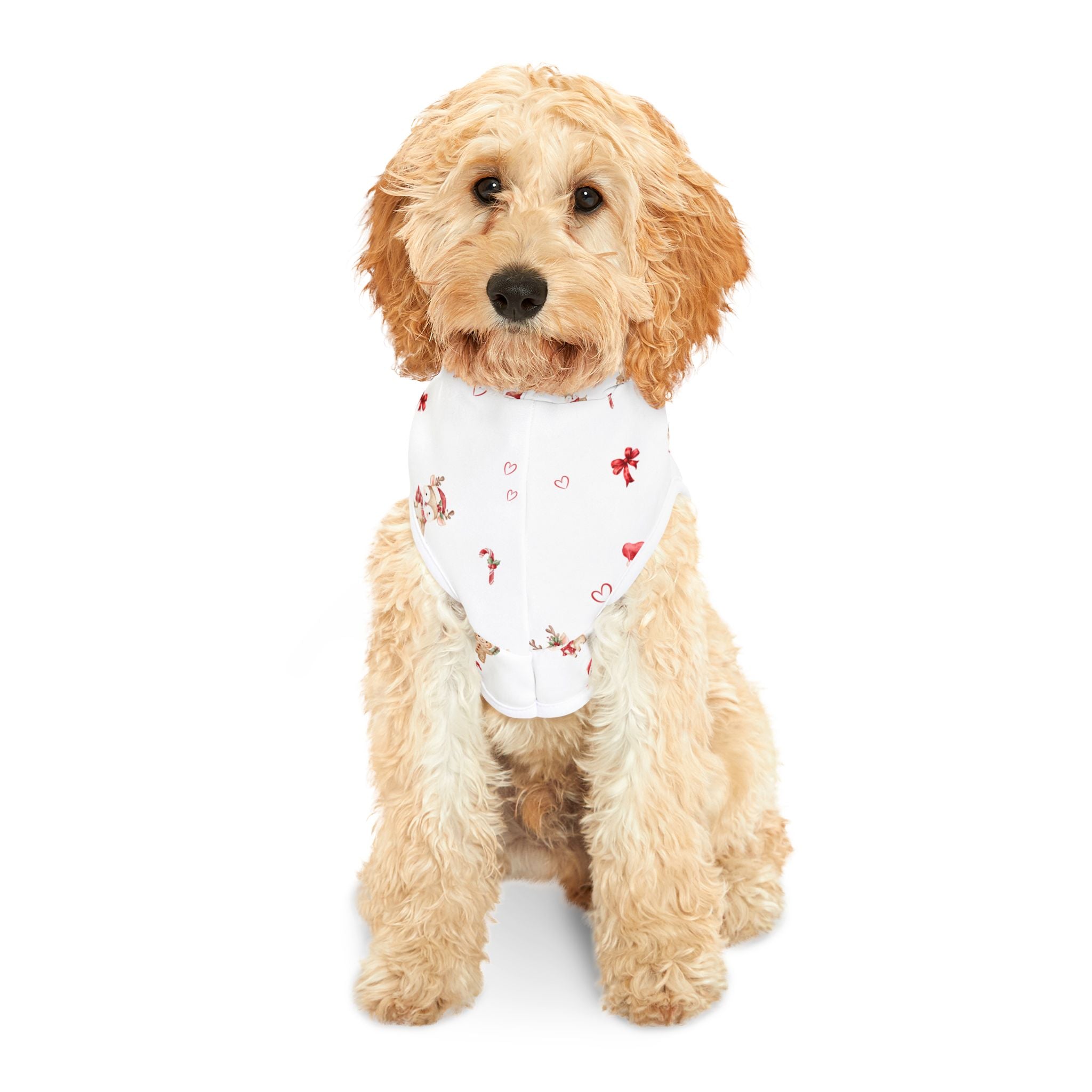 Christmas Pet Pajamas/Hoodie