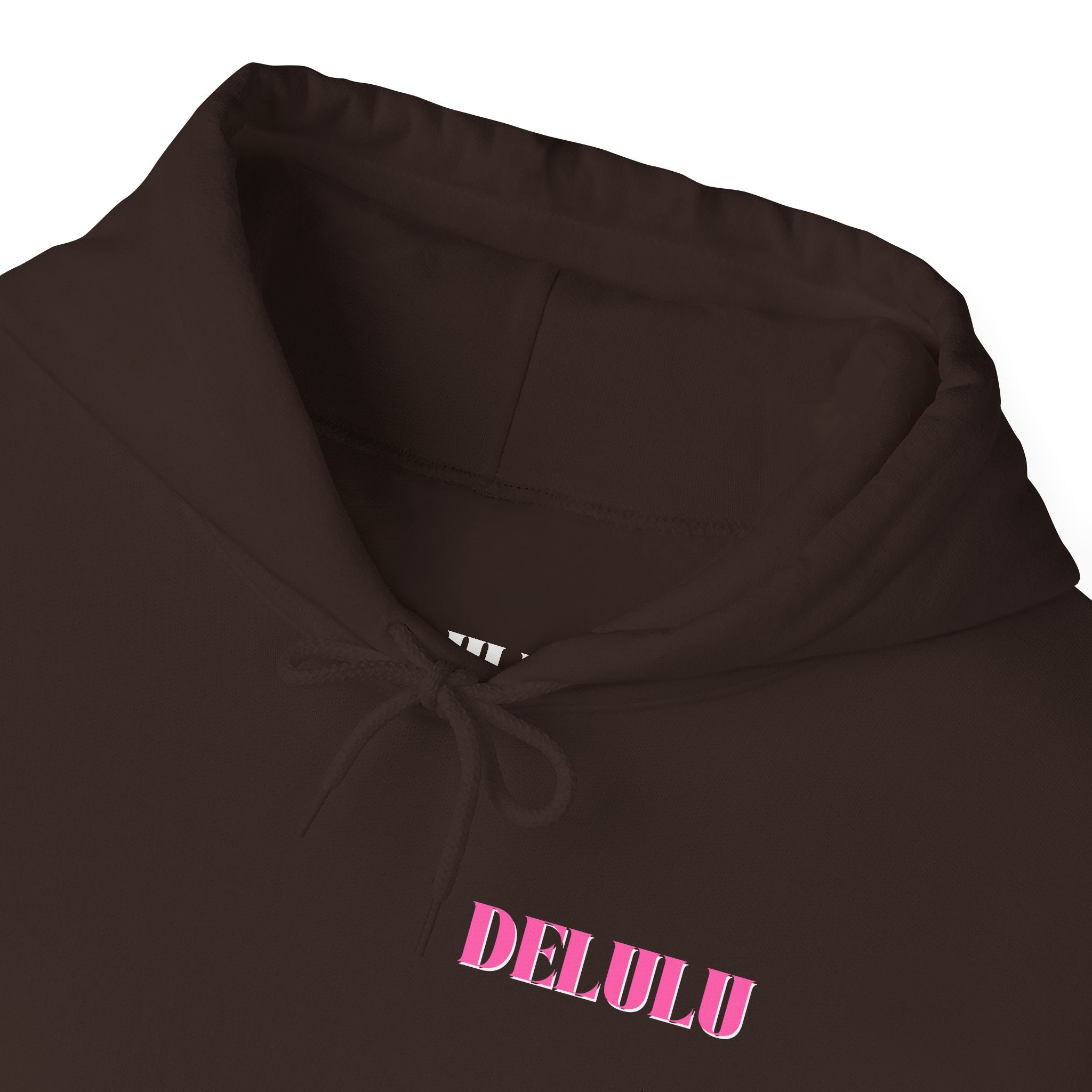 05 STATEMENT HOODIE DELULU