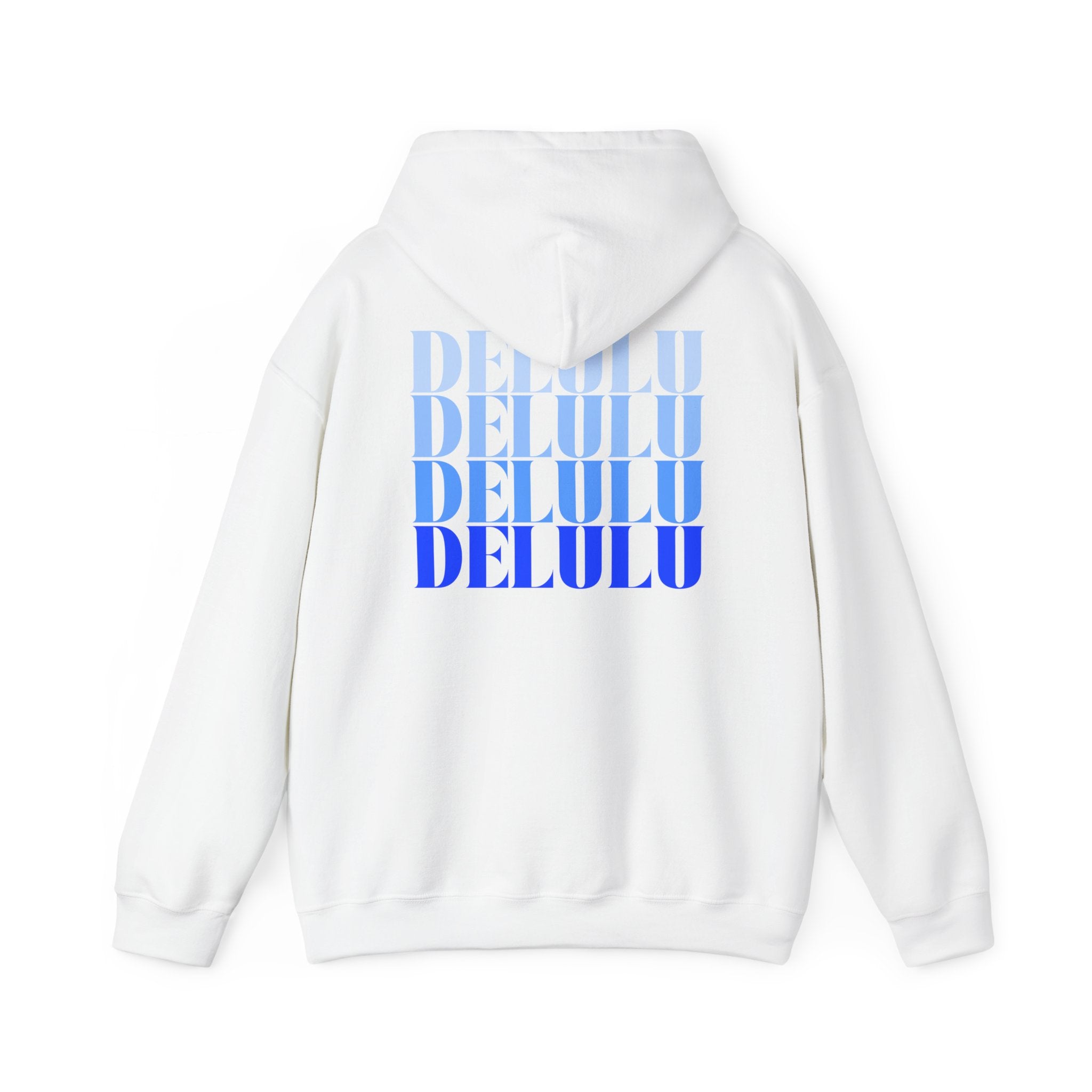 10 STATEMENT HOODIE DELULU