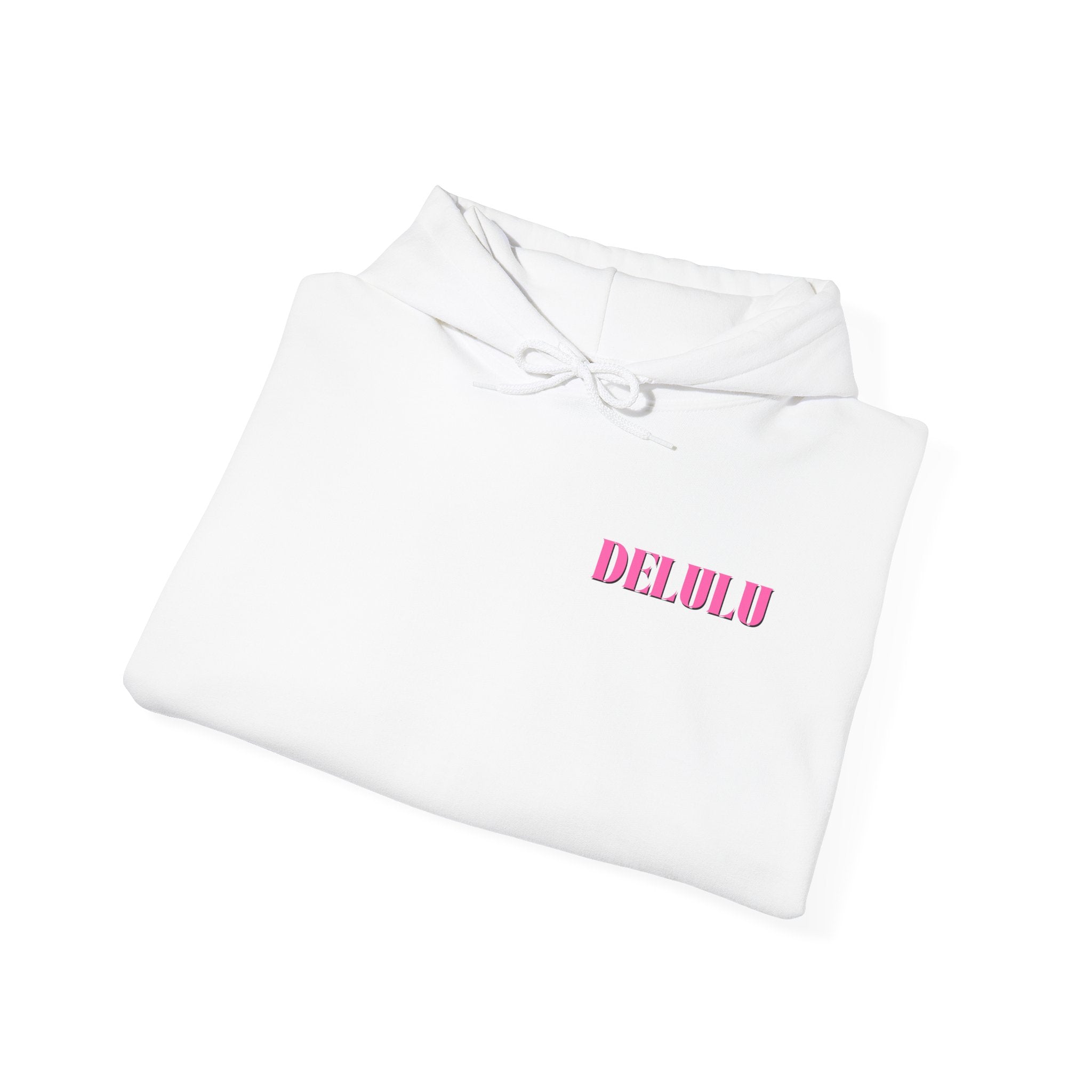 04 STATEMENT HOODIE DELULU