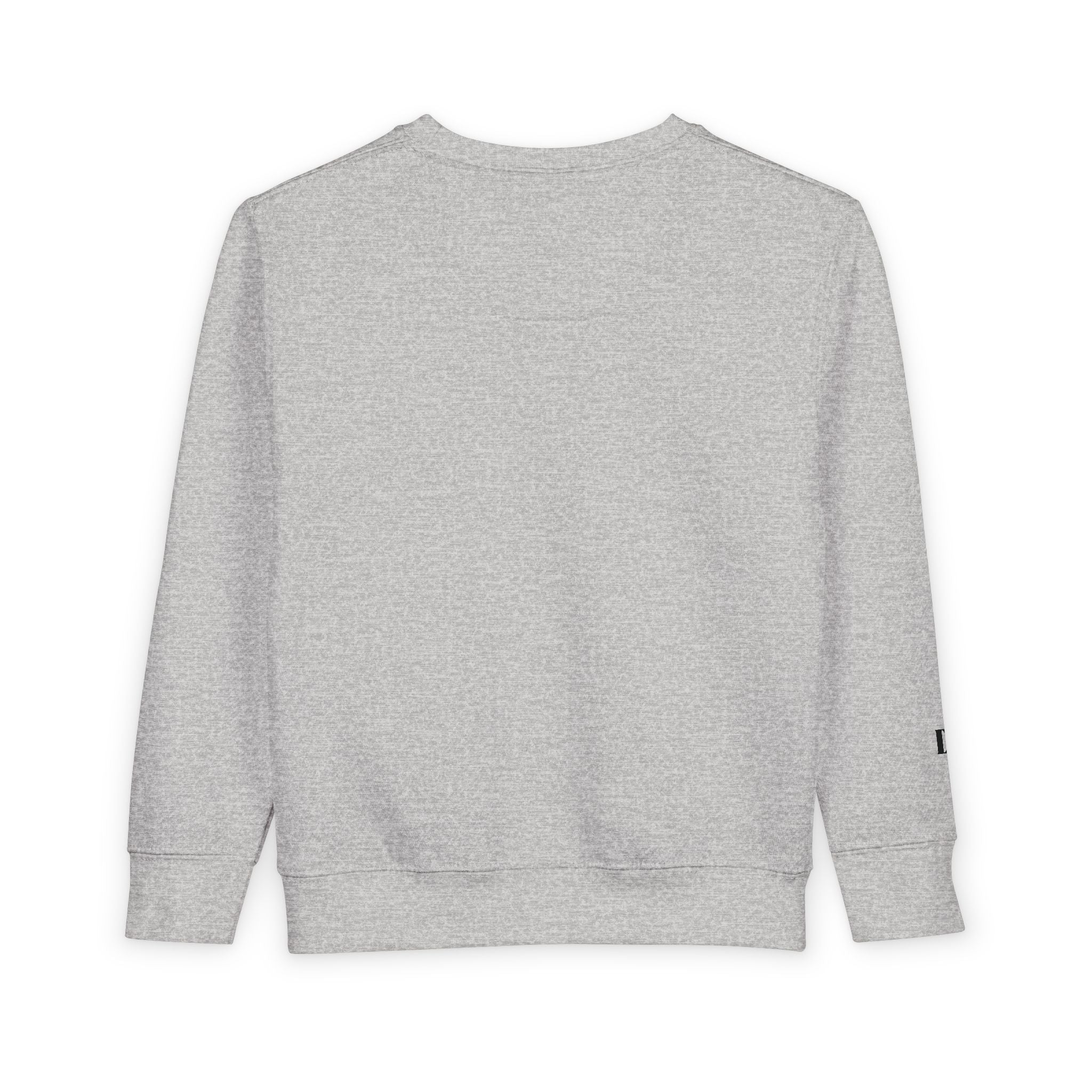 01 BASIC TODDLER SWEATSHIRT