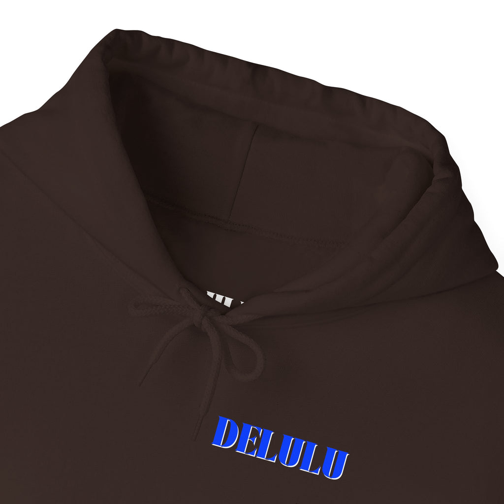 11 STATEMENT HOODIE DELULU