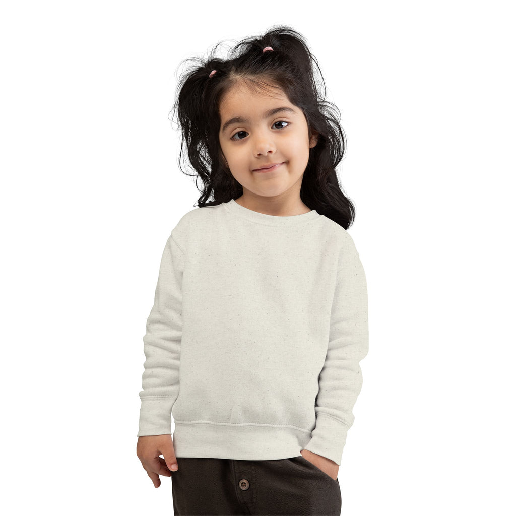 01 BASIC TODDLER SWEATSHIRT