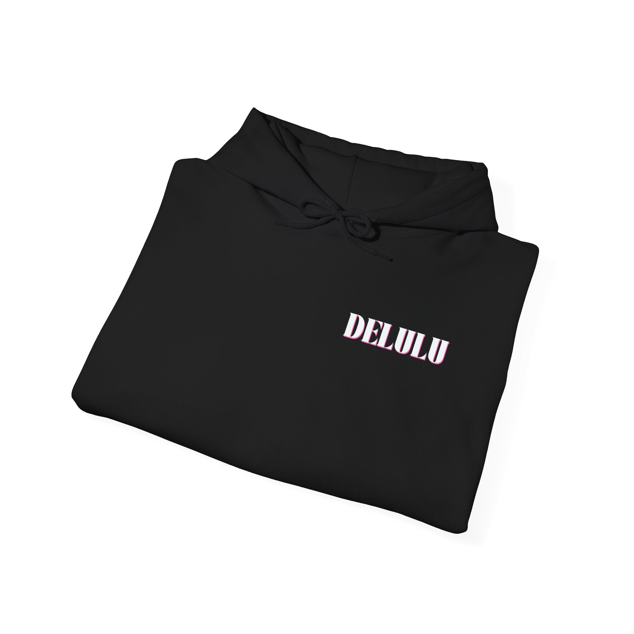 12 STATEMENT HOODIE DELULU