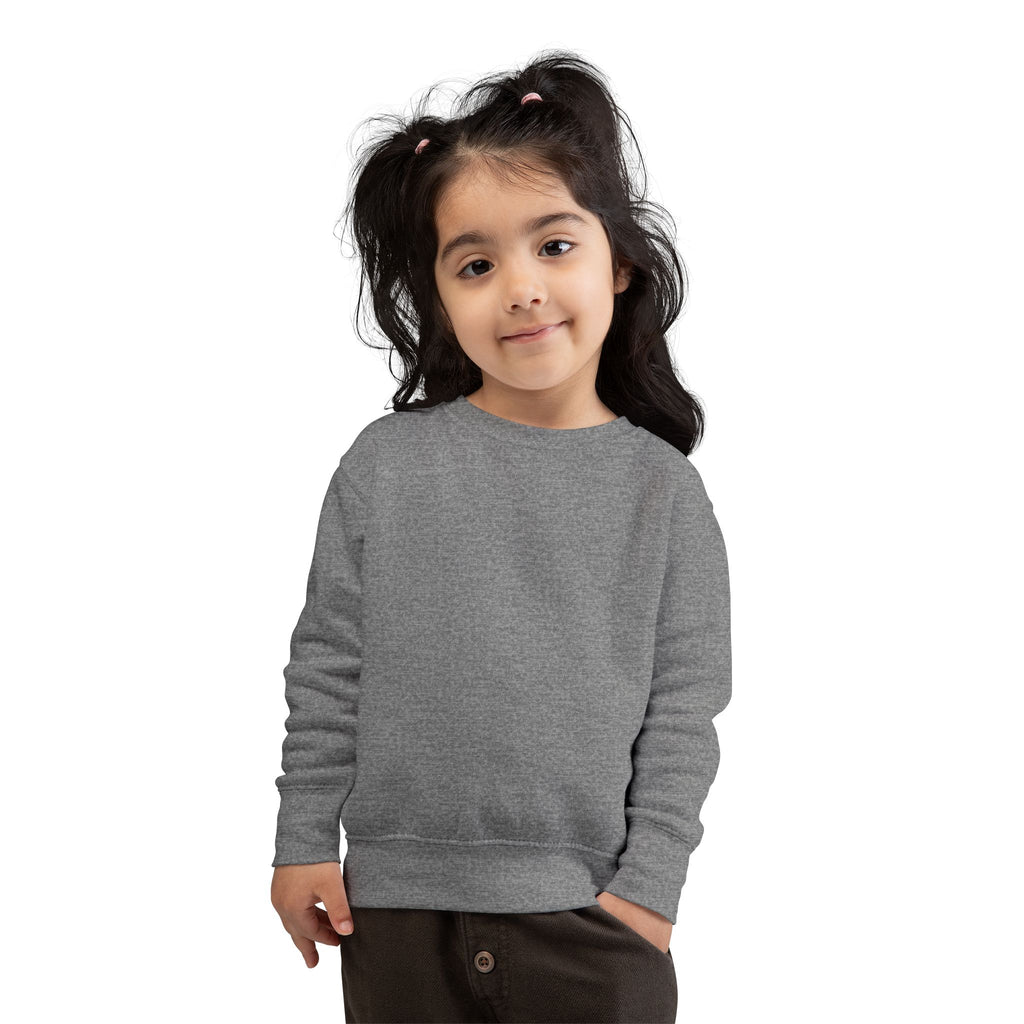 01 BASIC TODDLER SWEATSHIRT