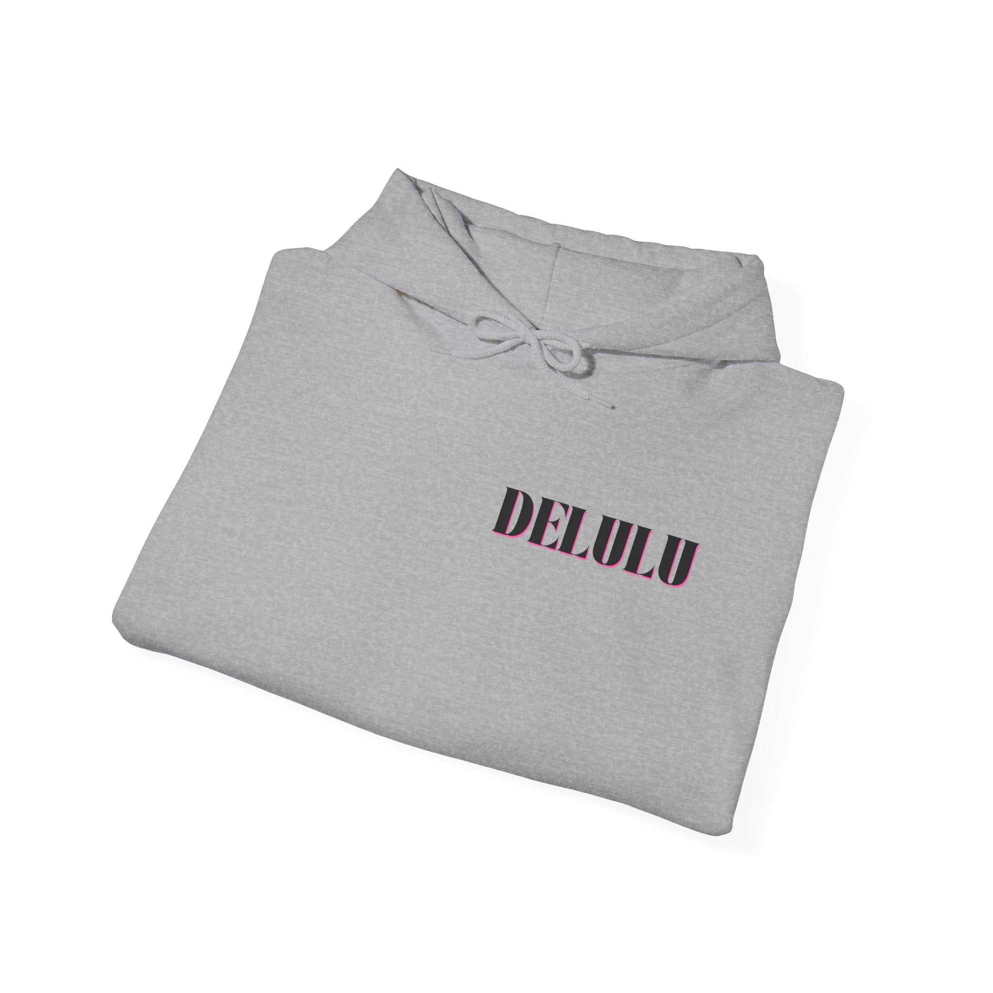 09 STATEMENT HOODIE DELULU