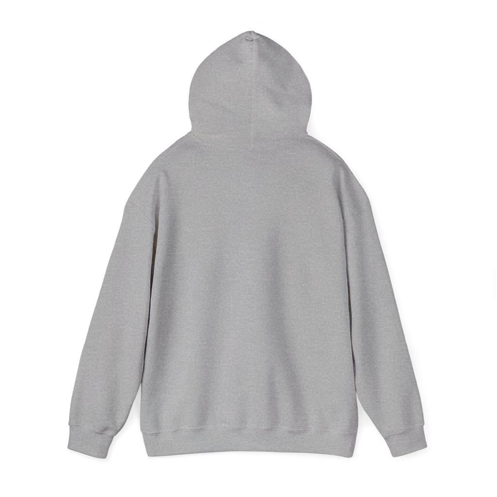 02 DELULU HIGH SCHOOL HOODIE