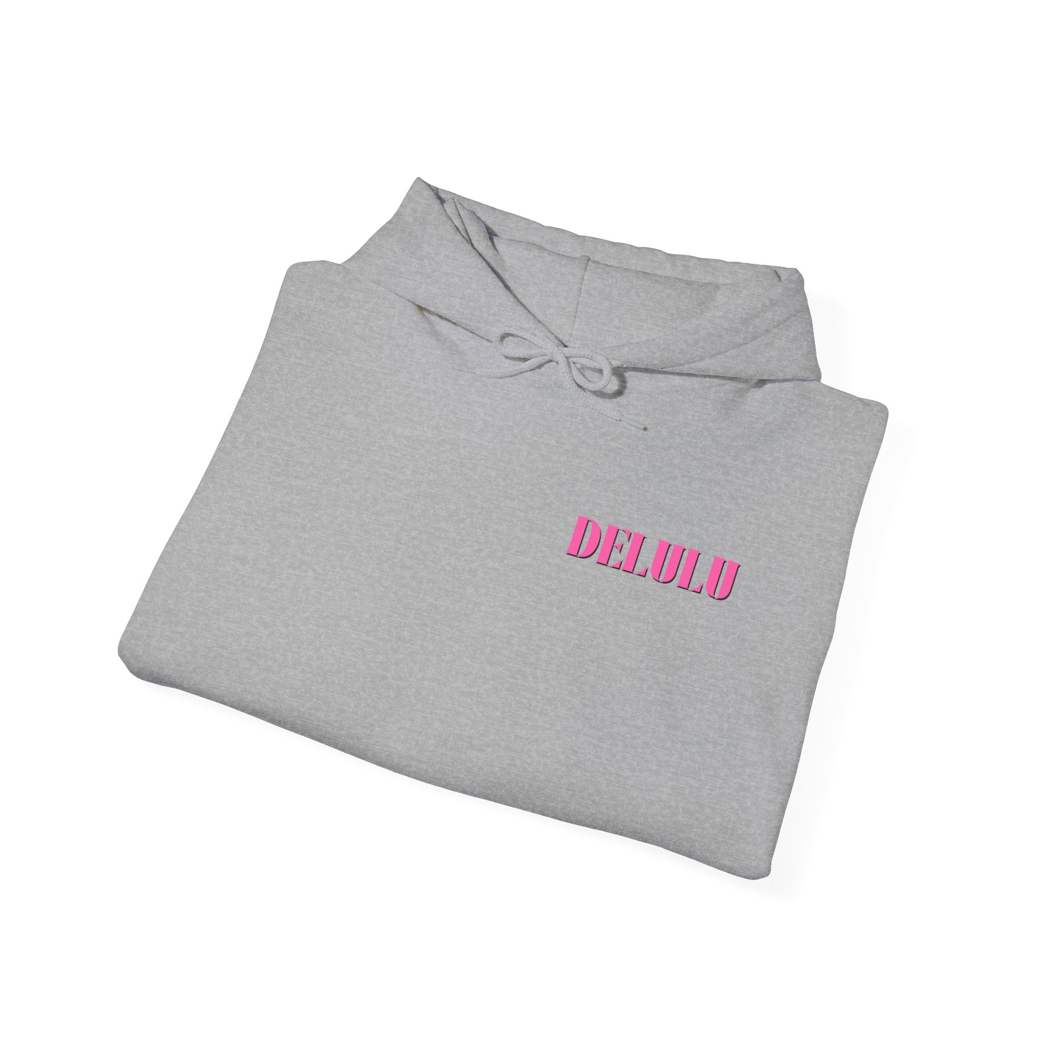 04 STATEMENT HOODIE DELULU