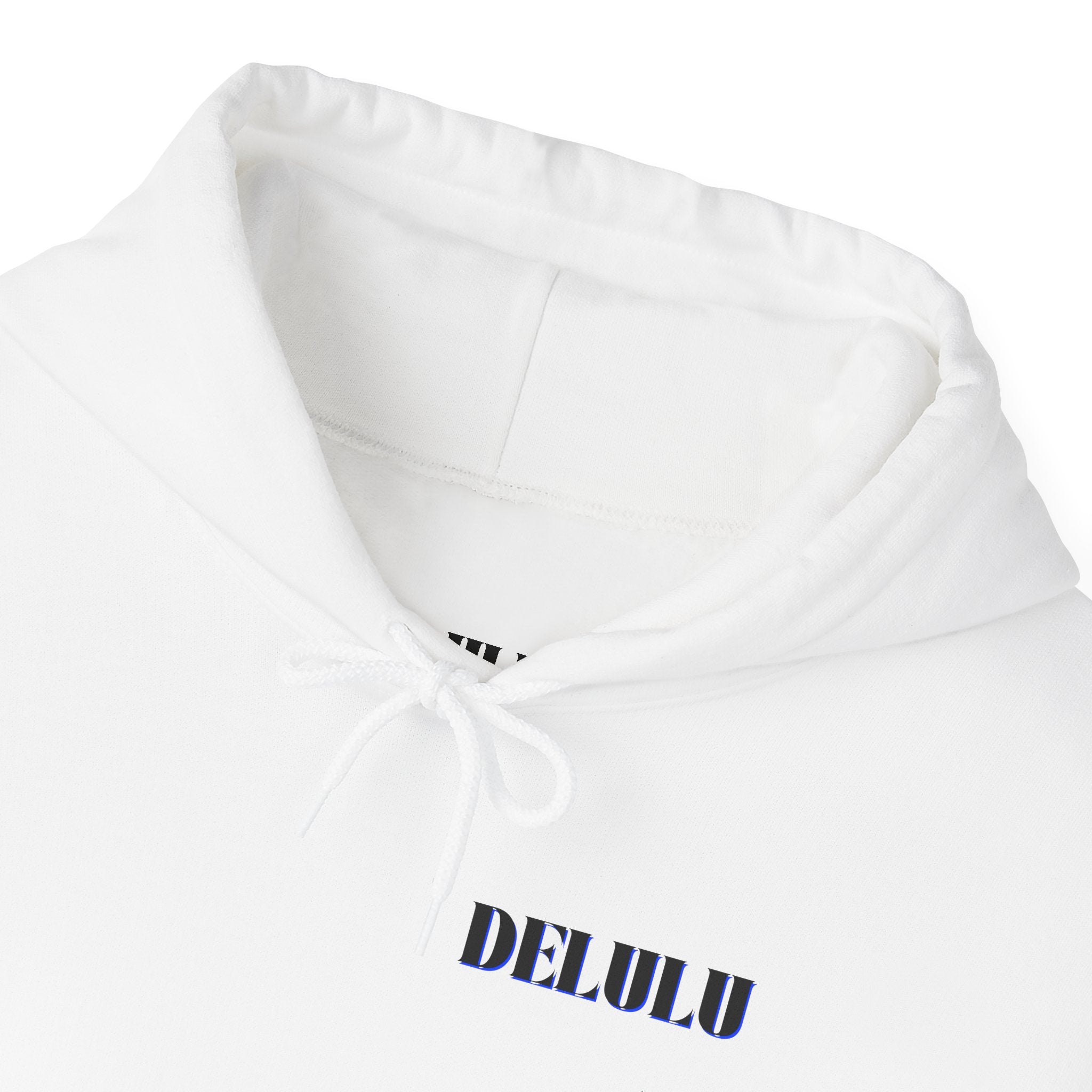 02 STATEMENT HOODIE DELULU