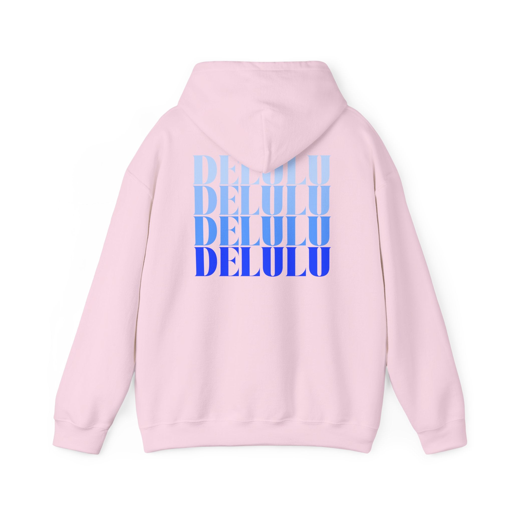 10 STATEMENT HOODIE DELULU