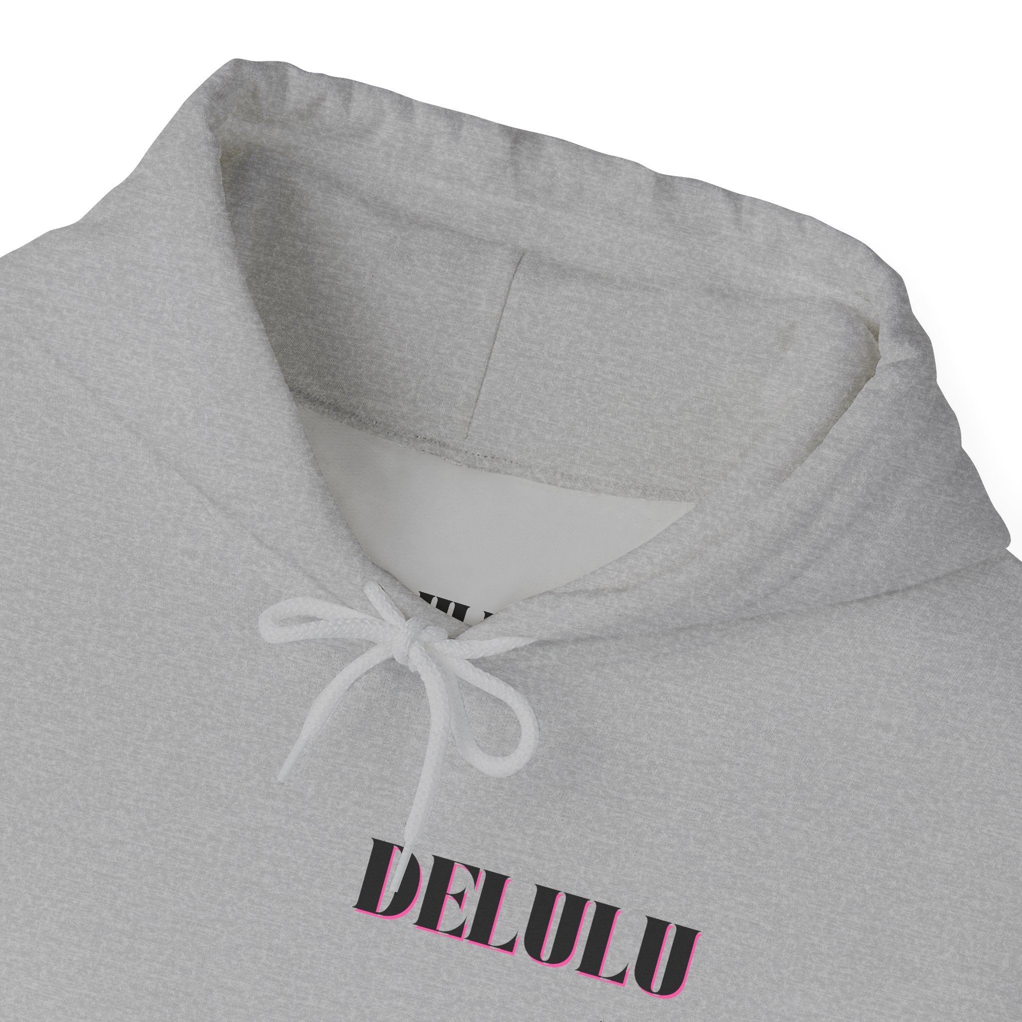 09 STATEMENT HOODIE DELULU