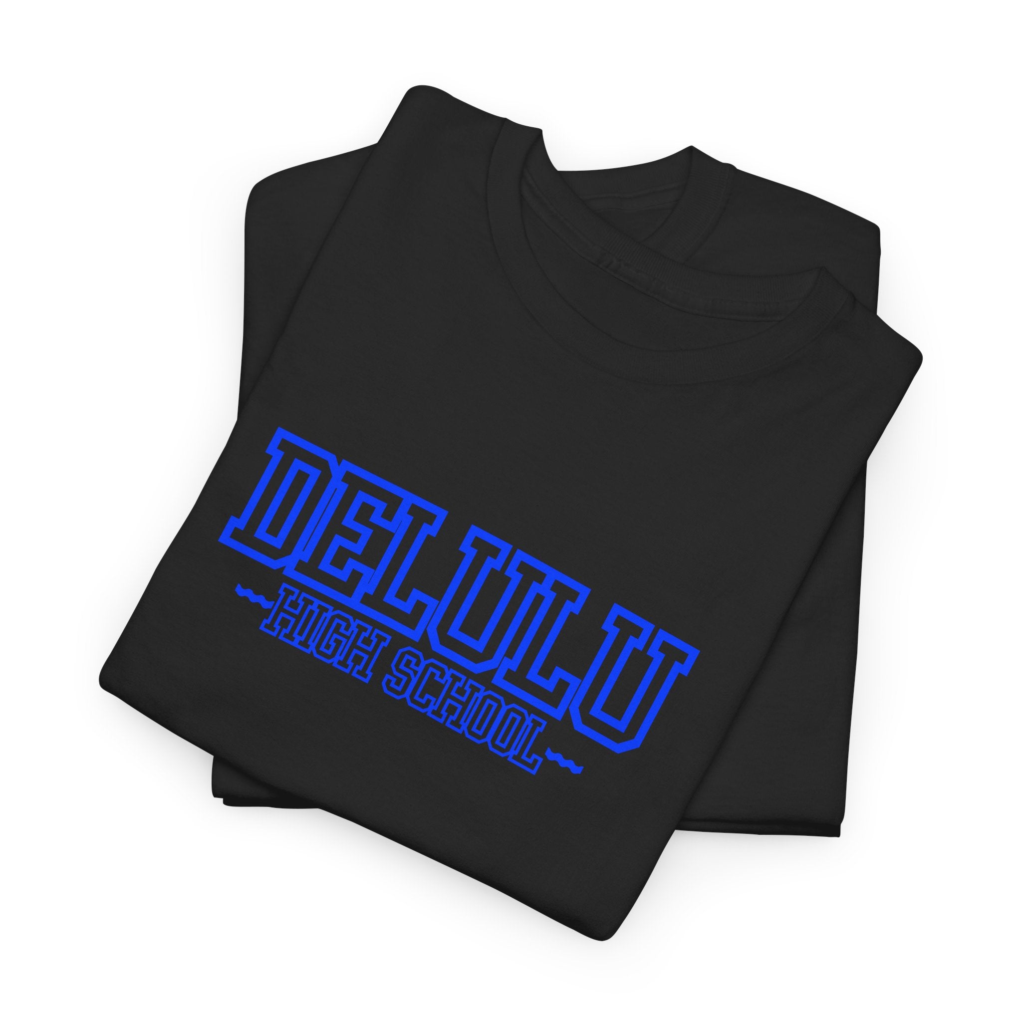 01 DELULU HIGH SCHOOL T-SHIRT
