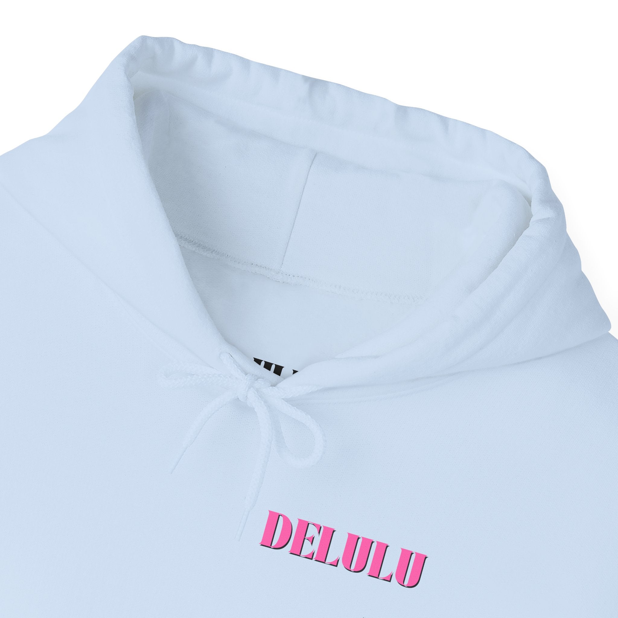 04 STATEMENT HOODIE DELULU
