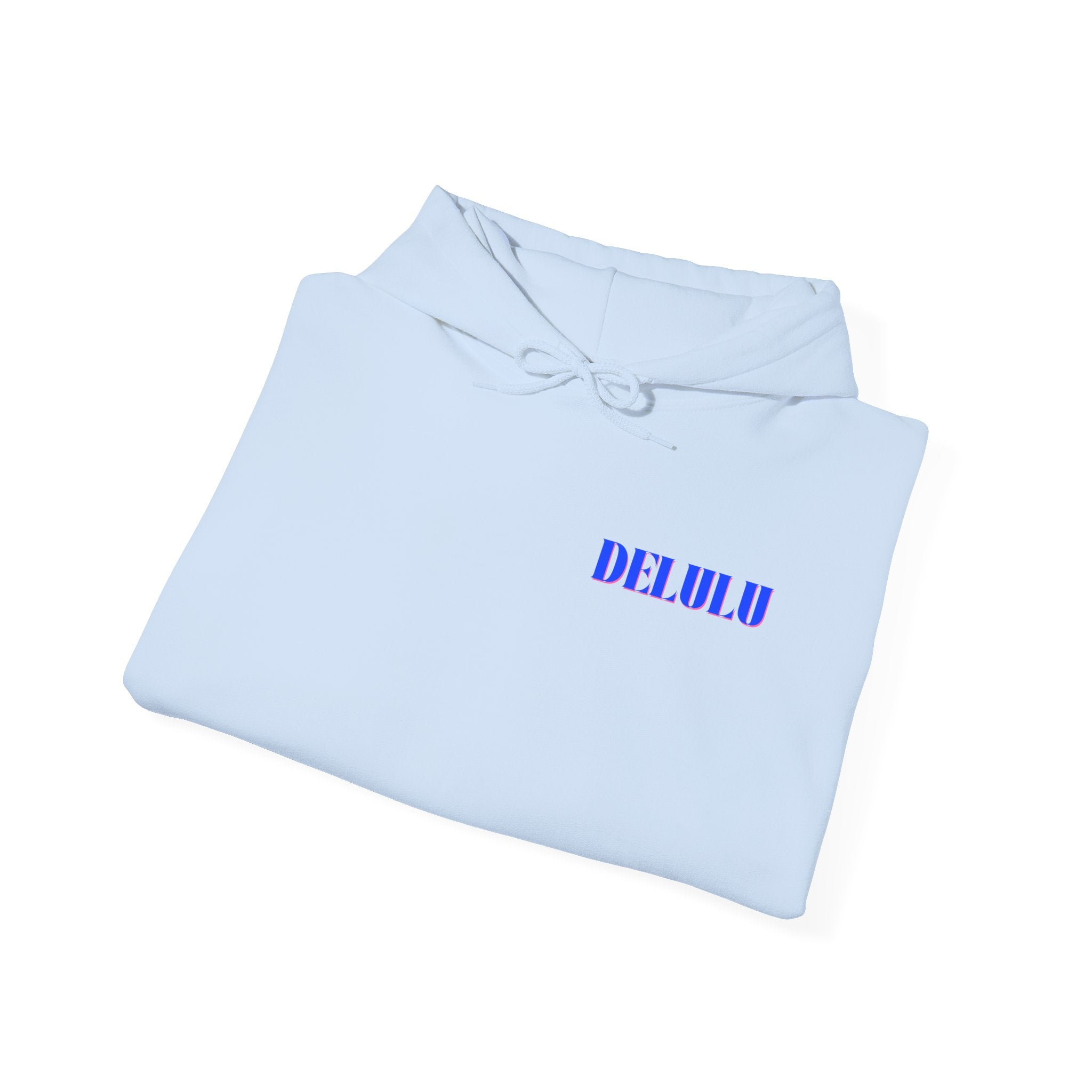 03 STATEMENT HOODIE DELULU