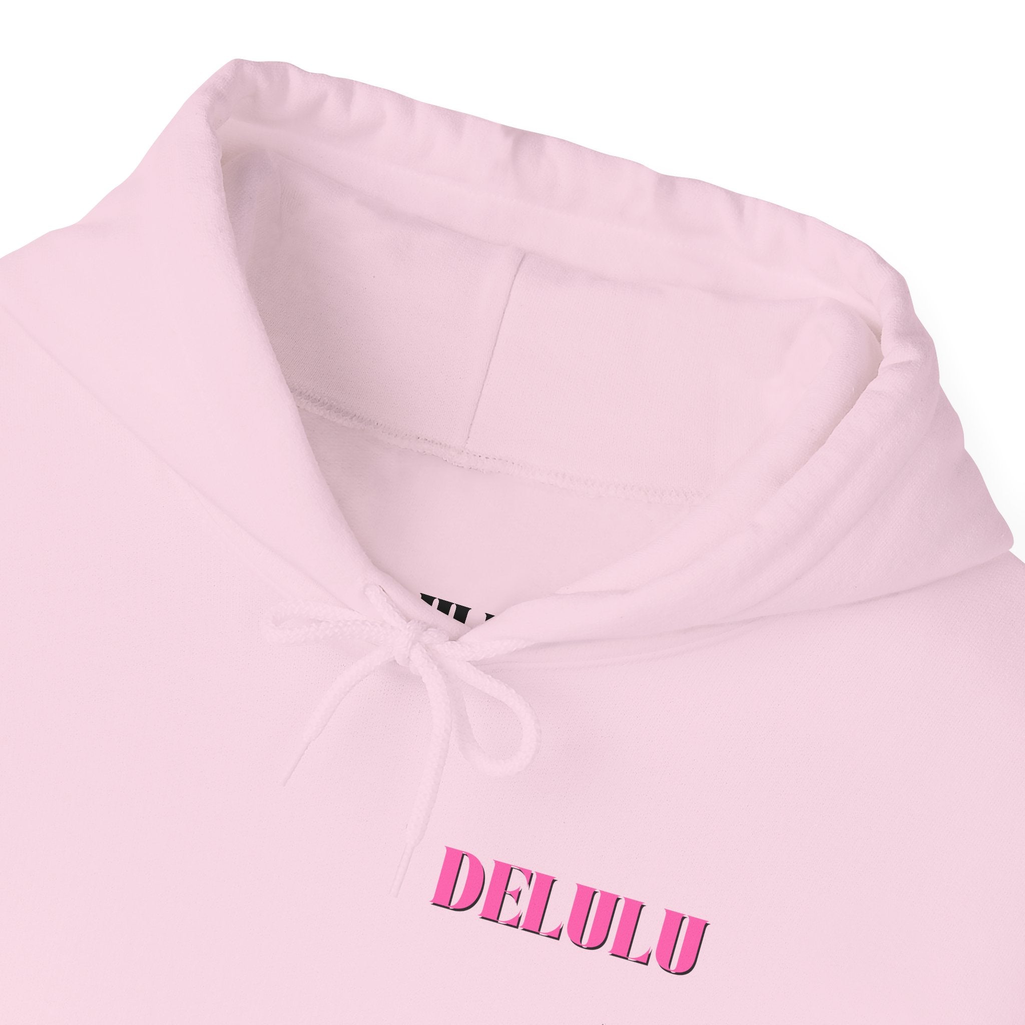 04 STATEMENT HOODIE DELULU