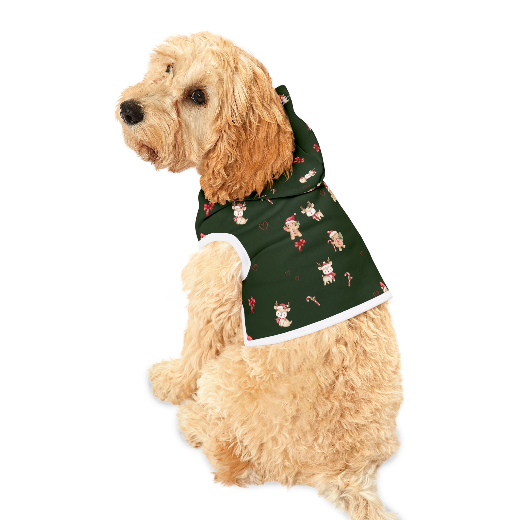 Christmas Pet Pajamas/Hoodie