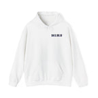 10 STATEMENT HOODIE DELULU