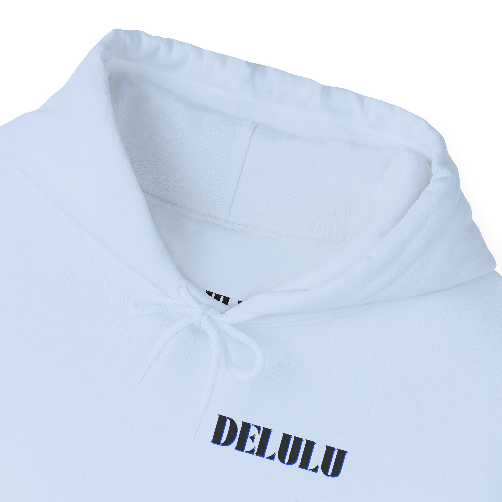 02 STATEMENT HOODIE DELULU