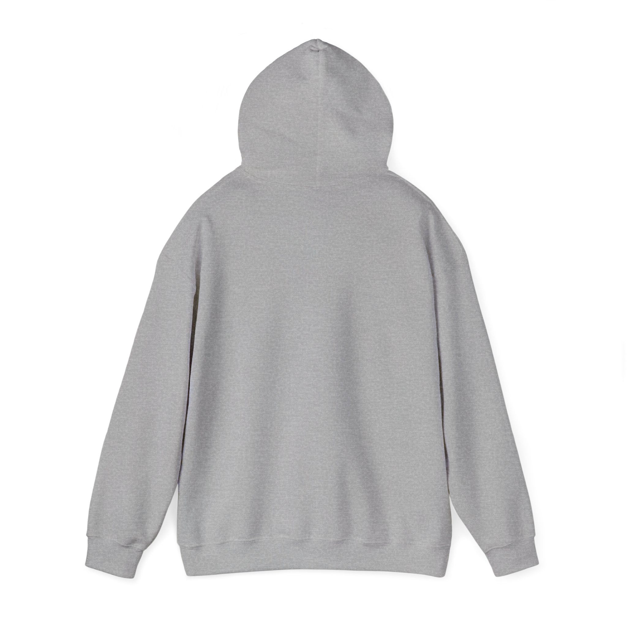 02 DELULU HIGH SCHOOL HOODIE