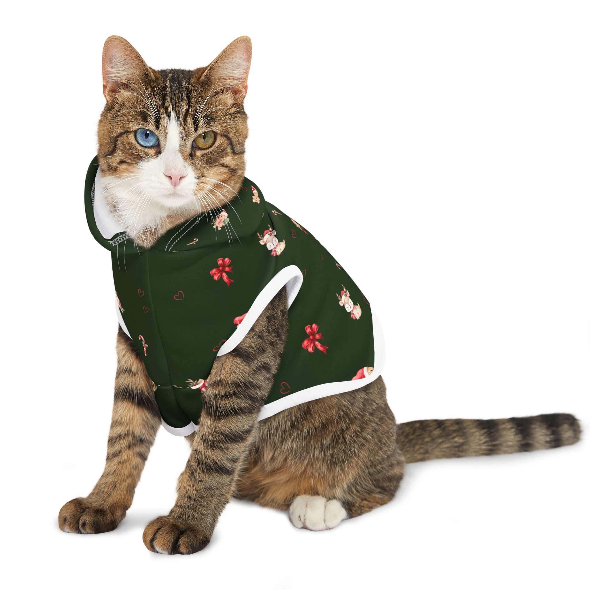 Christmas Pet Pajamas/Hoodie
