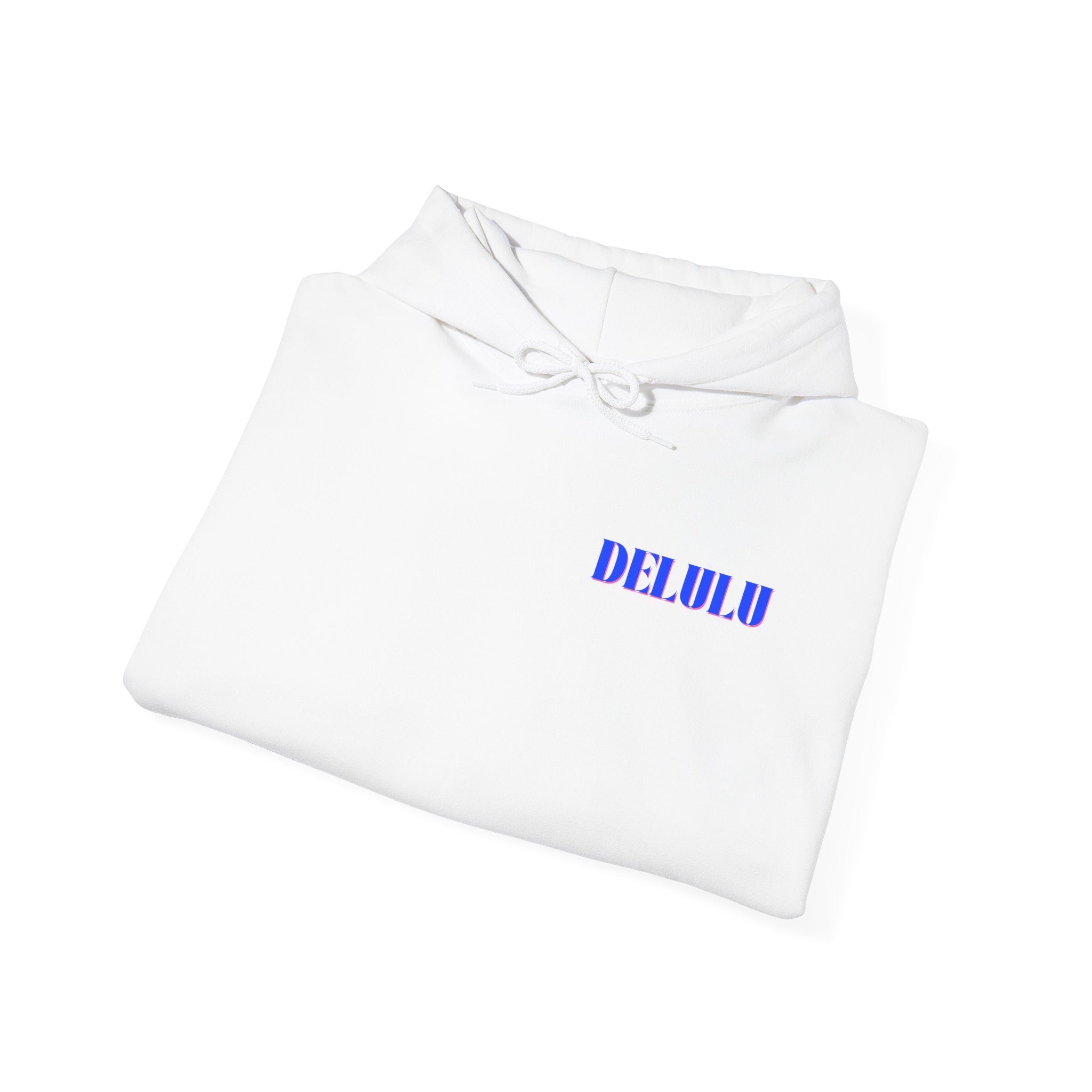 03 STATEMENT HOODIE DELULU