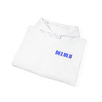 03 STATEMENT HOODIE DELULU