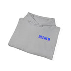 03 STATEMENT HOODIE DELULU