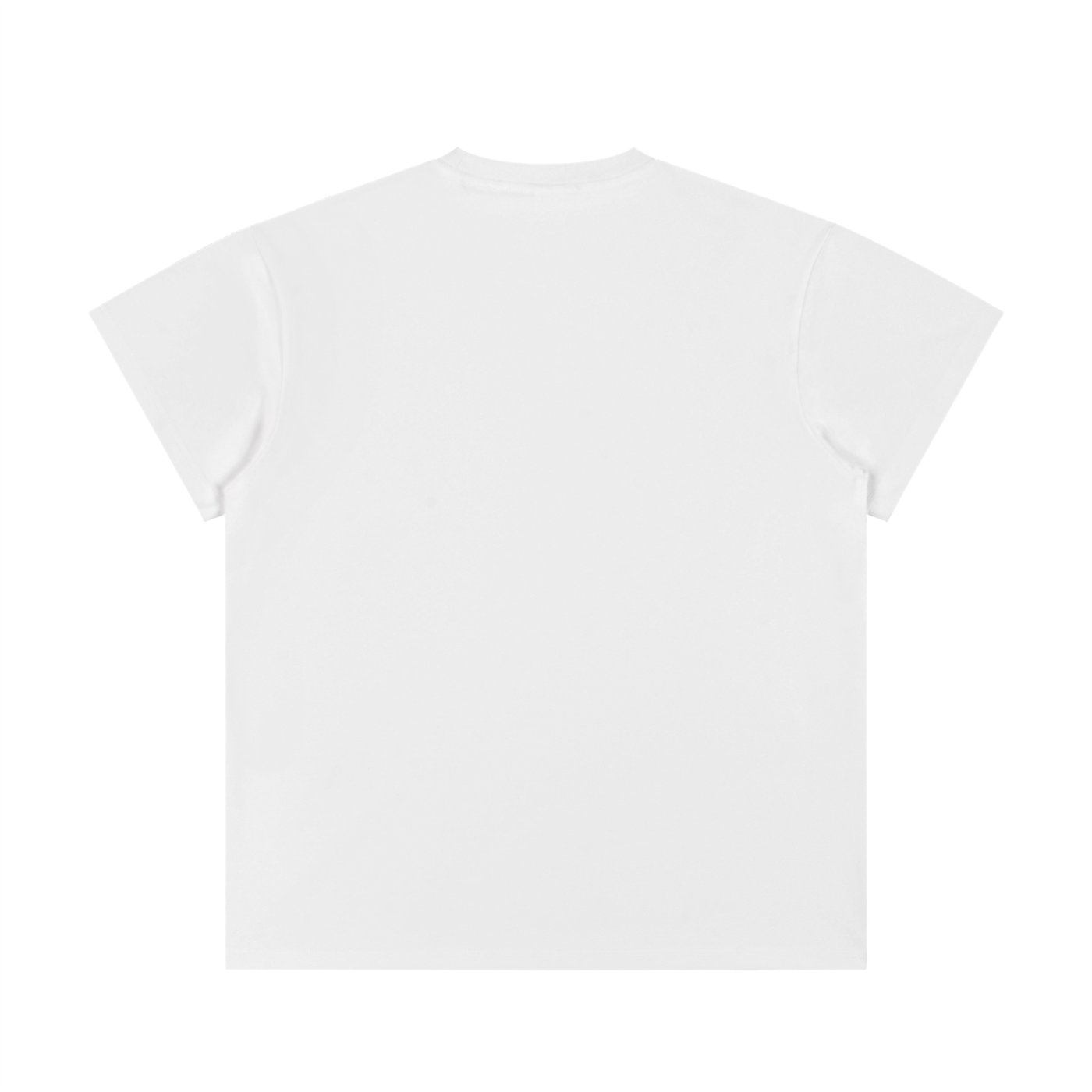 BASIC UNISEX REGULAR FIT CREWNECK T-SHIRT