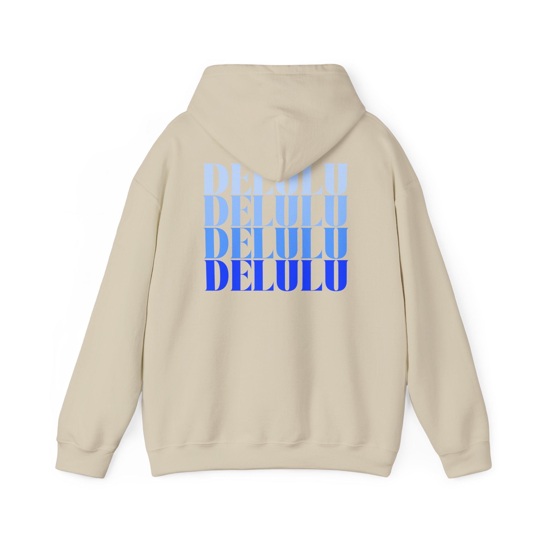 10 STATEMENT HOODIE DELULU
