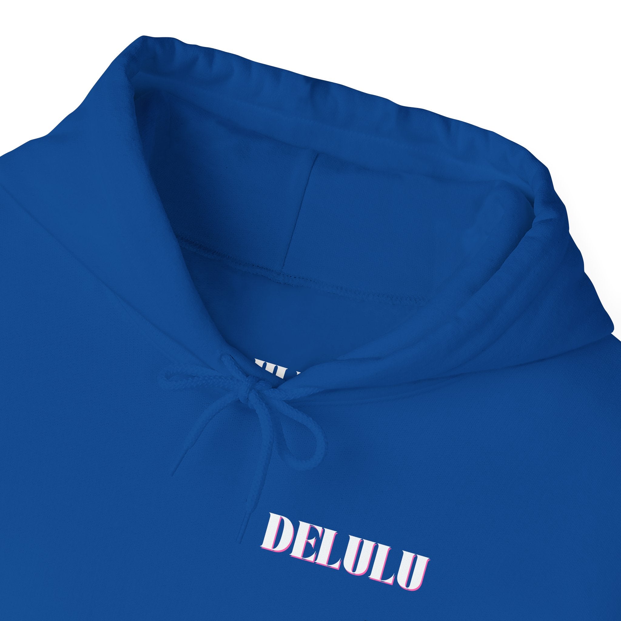 12 STATEMENT HOODIE DELULU