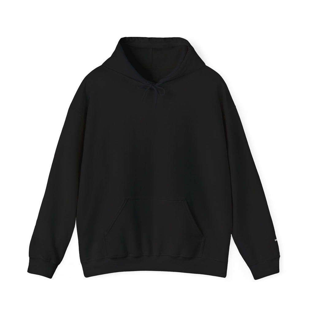 04 DELULU IS THE SOLULU HOODIE