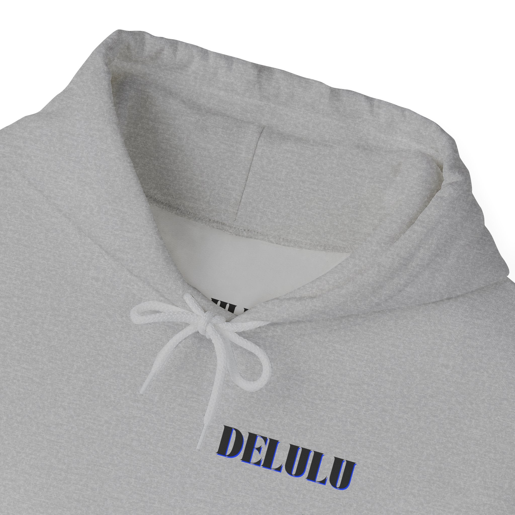 10 STATEMENT HOODIE DELULU