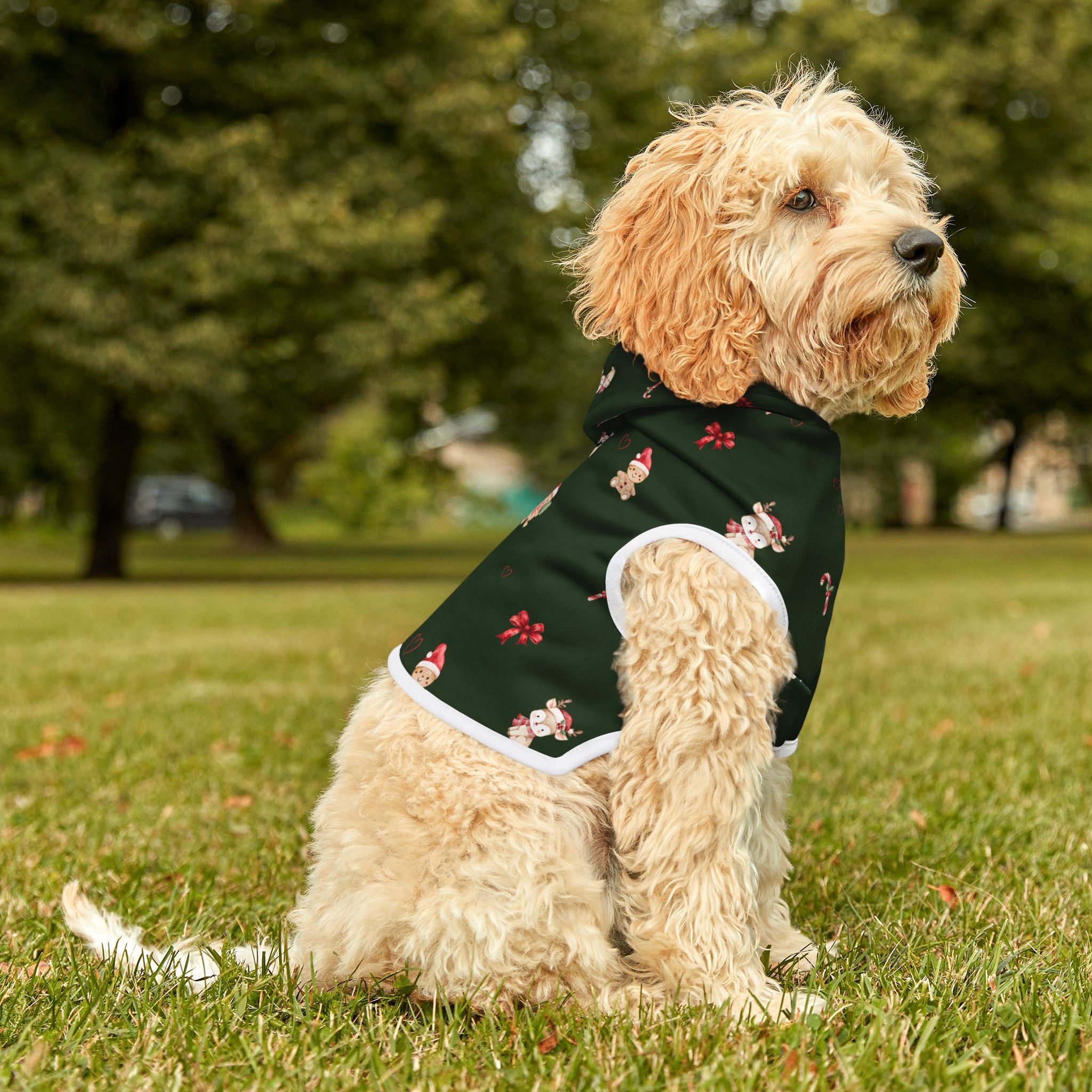 Christmas Pet Pajamas/Hoodie