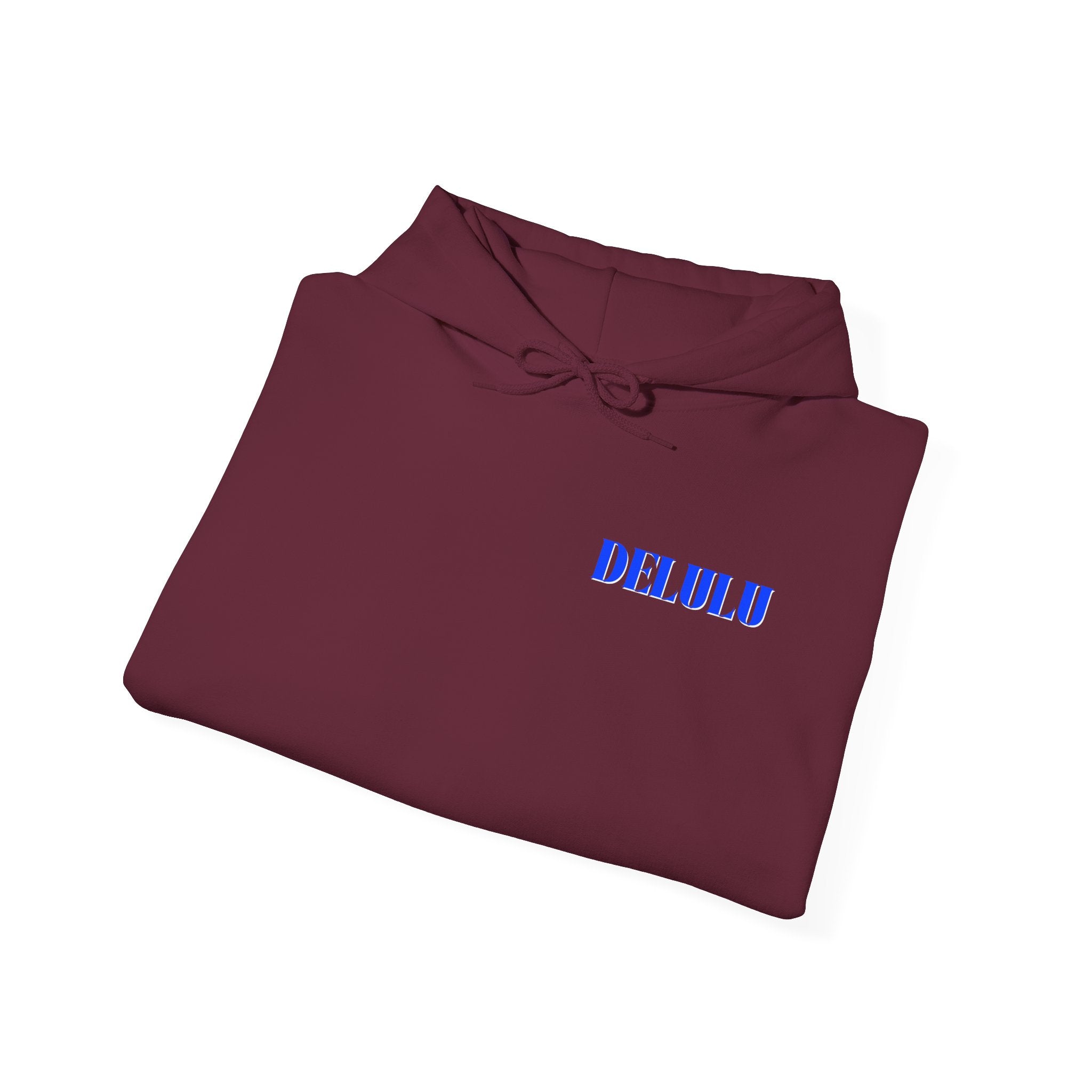 11 STATEMENT HOODIE DELULU