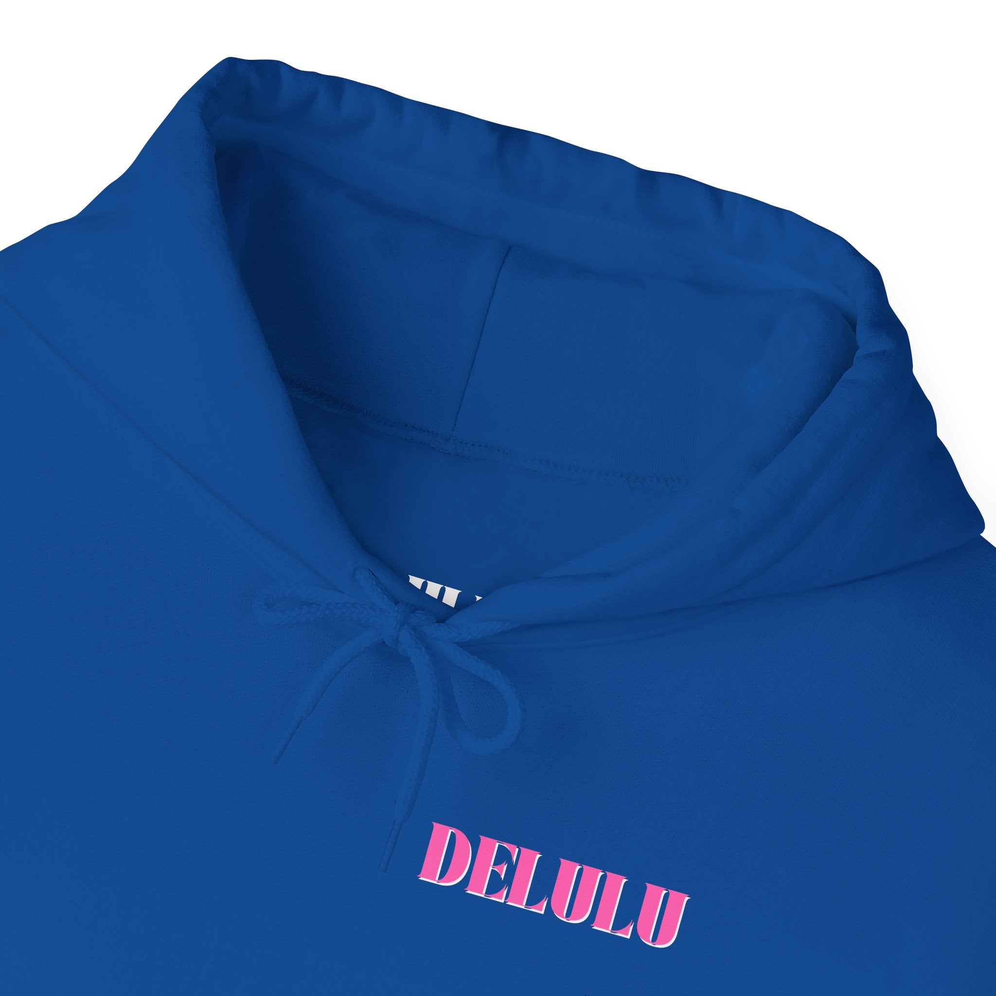 05 STATEMENT HOODIE DELULU