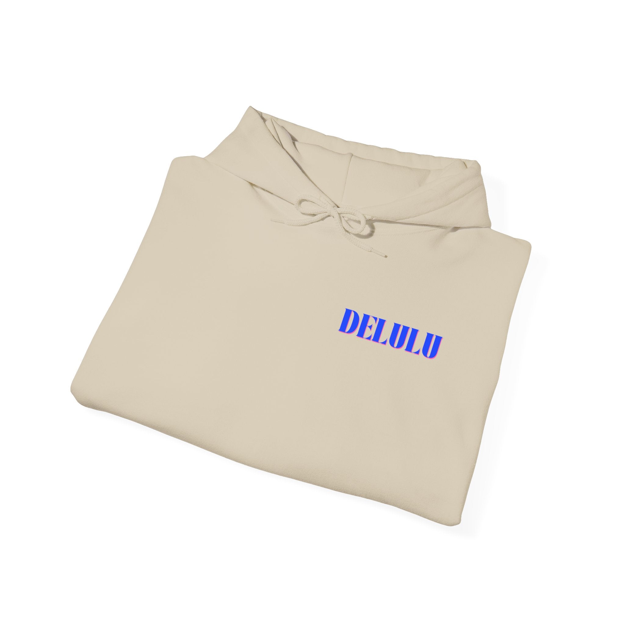 03 STATEMENT HOODIE DELULU