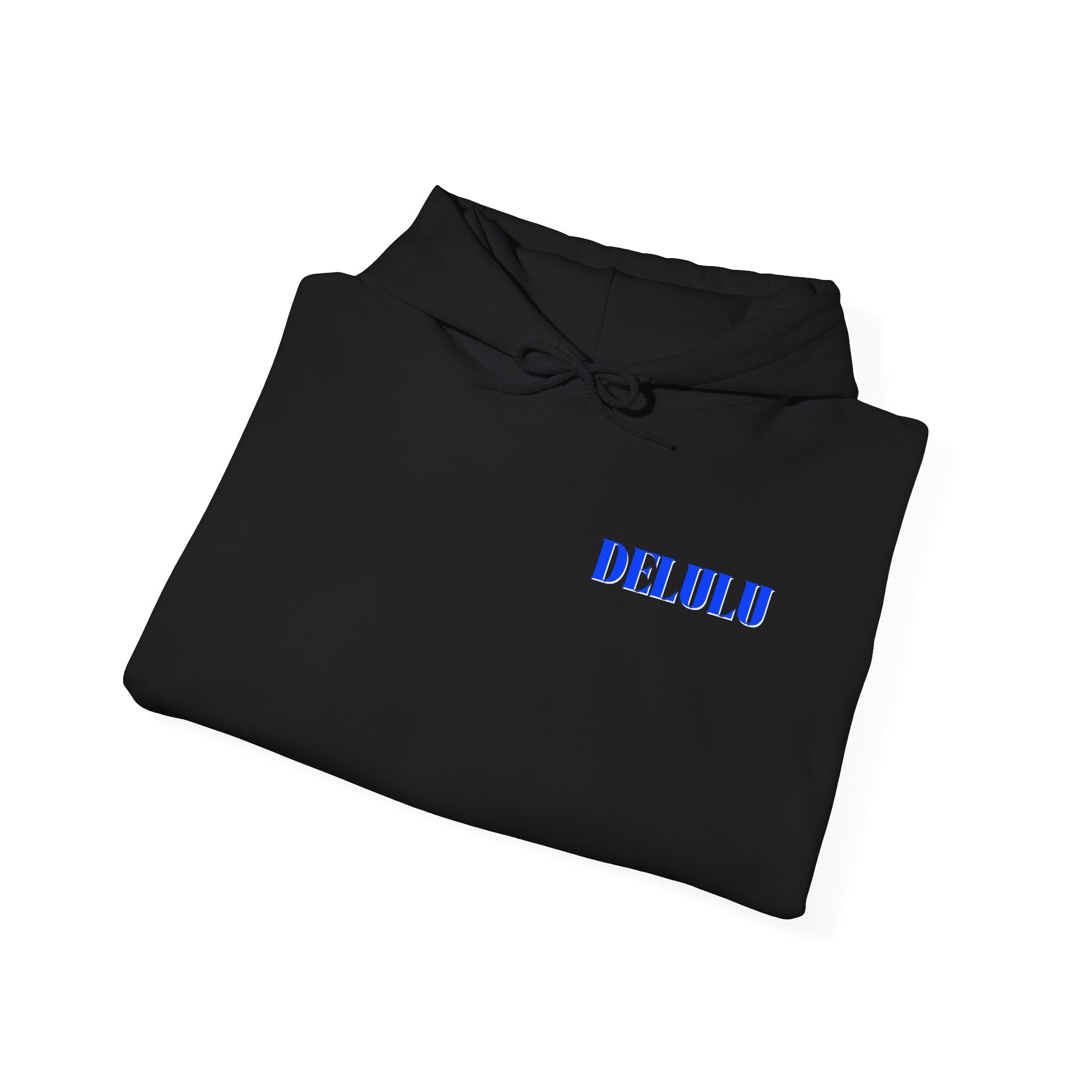 08 STATEMENT HOODIE DELULU