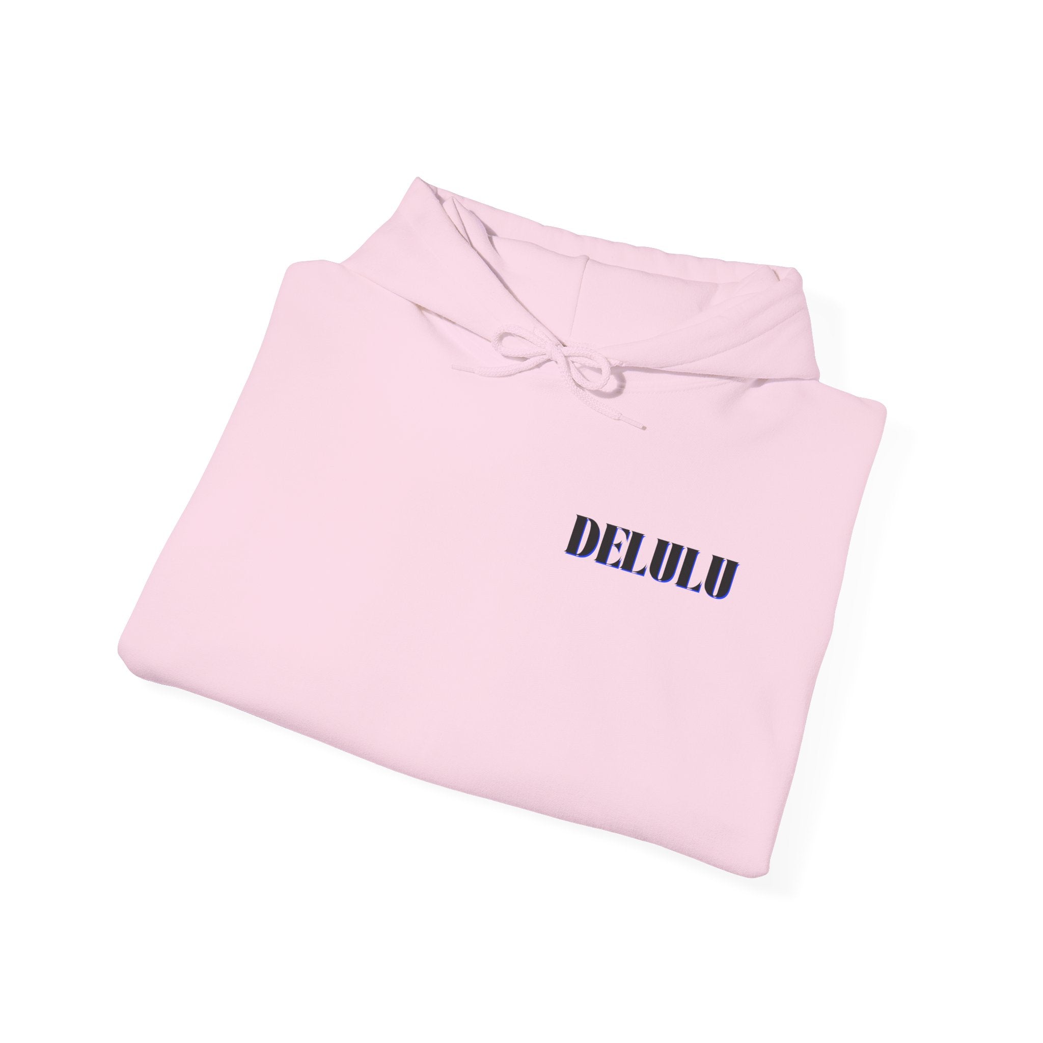 10 STATEMENT HOODIE DELULU