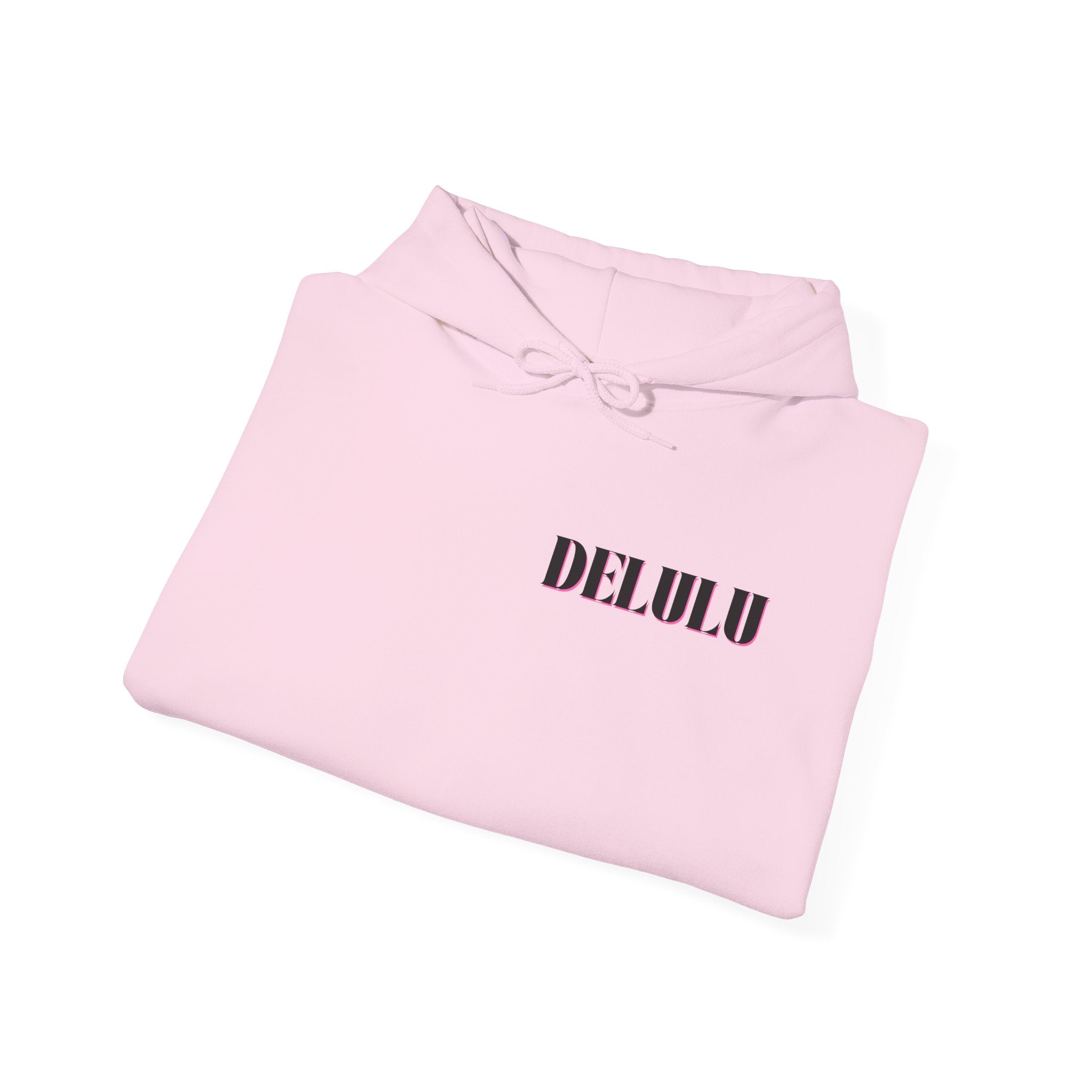 09 STATEMENT HOODIE DELULU