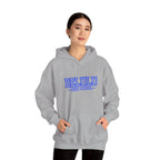 02 DELULU HIGH SCHOOL HOODIE