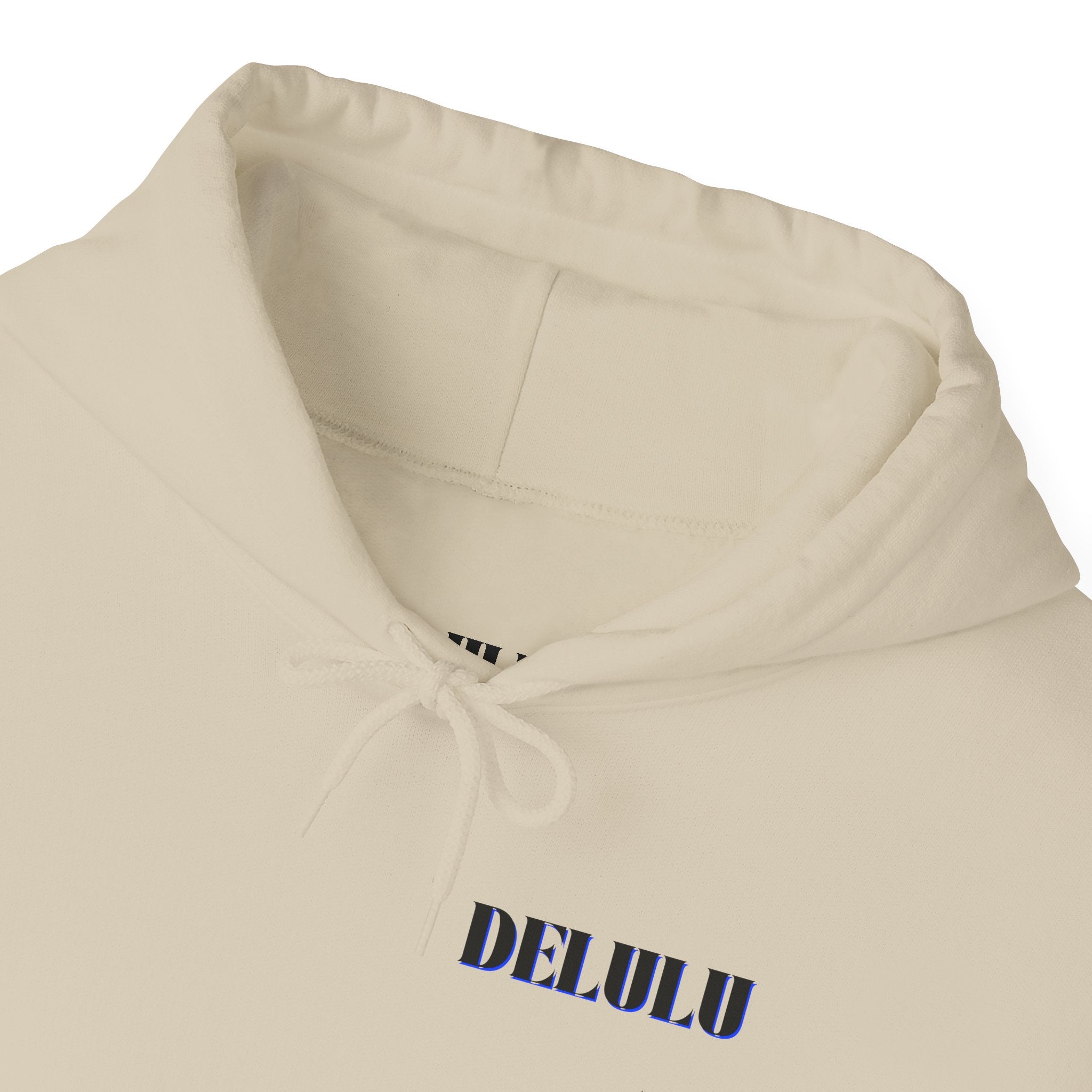 10 STATEMENT HOODIE DELULU