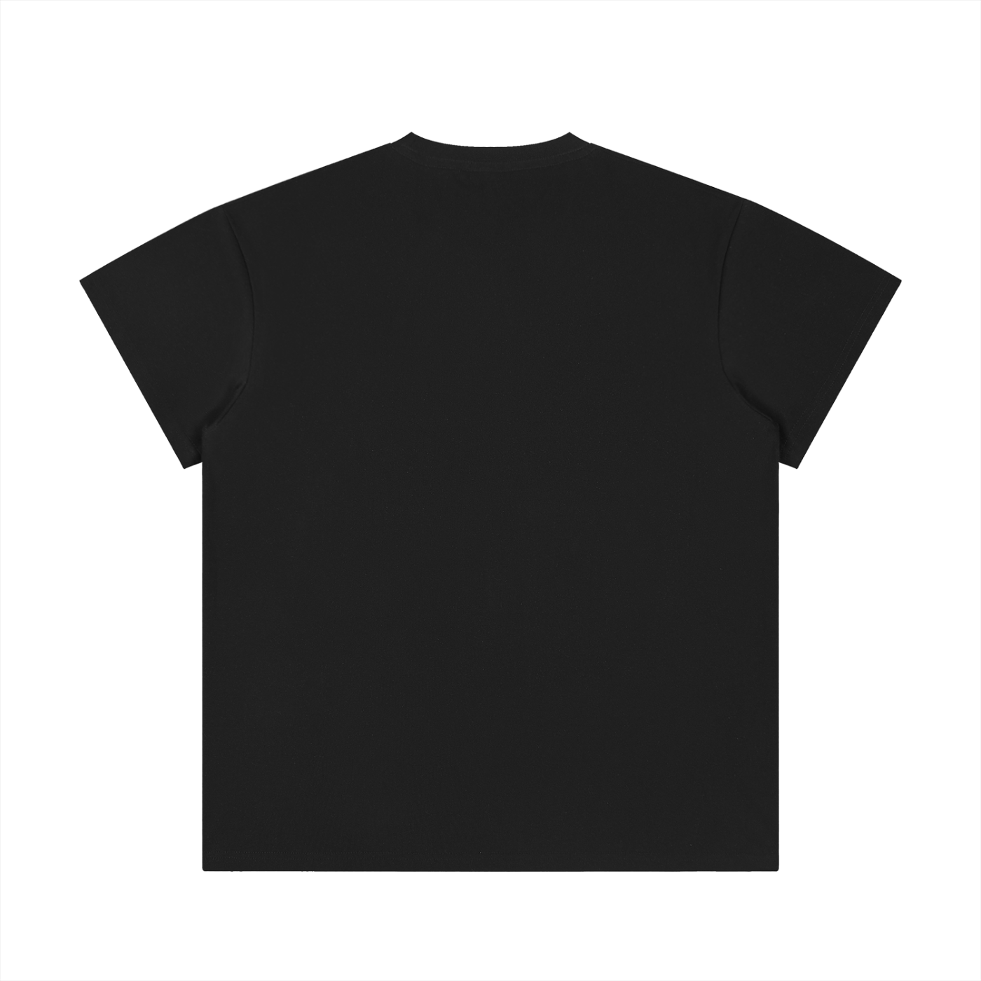 BASIC UNISEX REGULAR FIT CREWNECK T-SHIRT