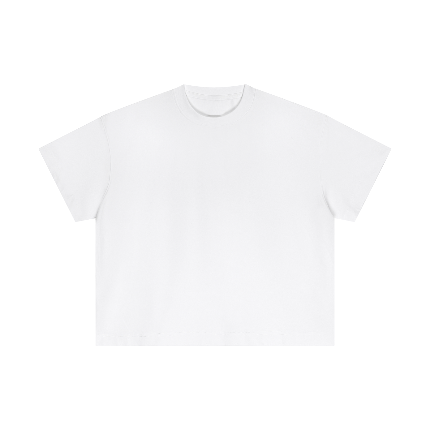 ESSENTIAL COTTEN BOXY T-SHIRT - DELULU IS THE SOLULU