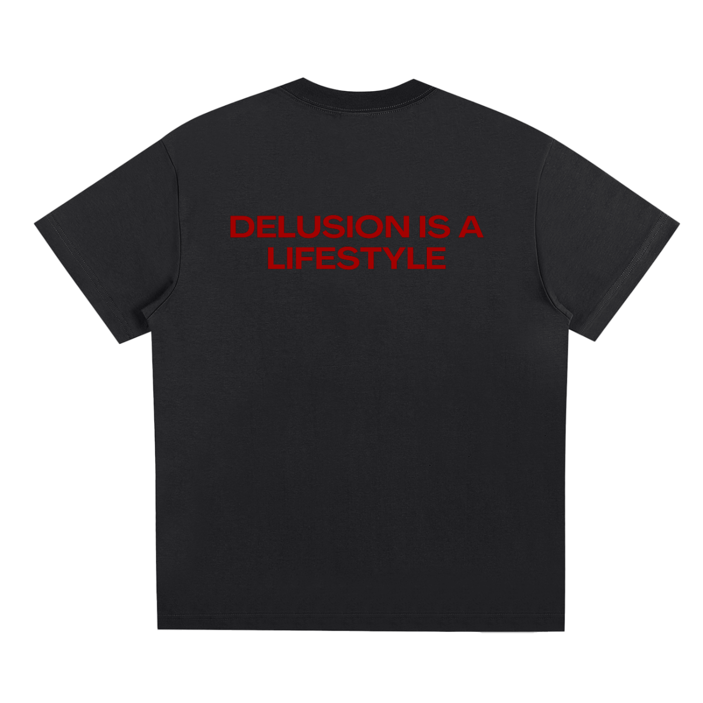 UNISEX LOOSE FIT T-SHIRT - DELUSION IS A LIFESTYLE